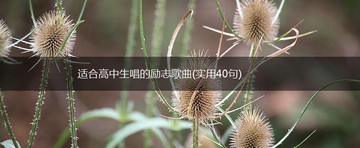 适合高中生唱的励志歌曲(实用40句),第1张