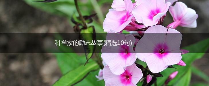科学家的励志故事(精选10句),第1张