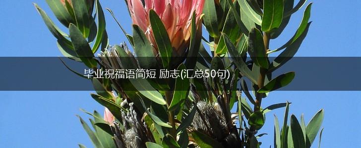 毕业祝福语简短 励志(汇总50句),第1张