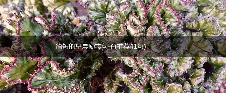 简短的早晨励志句子(推荐41句),第1张