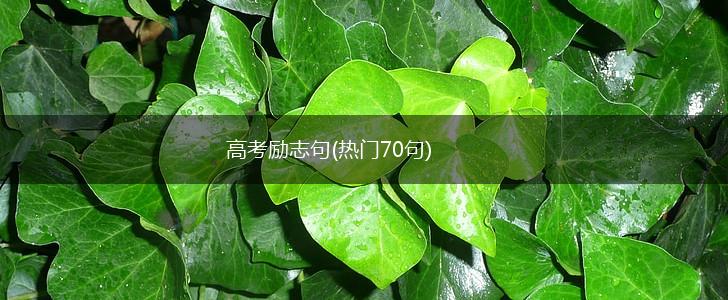 高考励志句(热门70句),第1张
