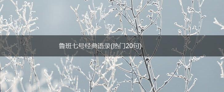 鲁班七号经典语录(热门20句),第1张