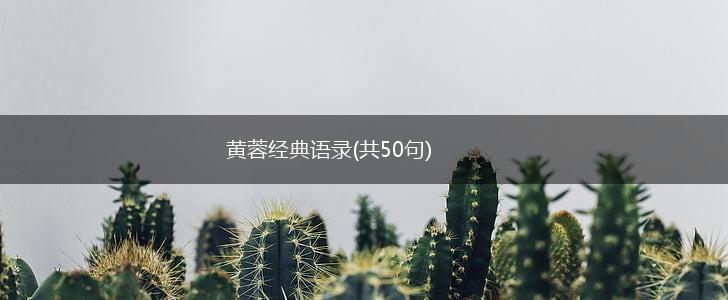 黄蓉经典语录(共50句),第1张