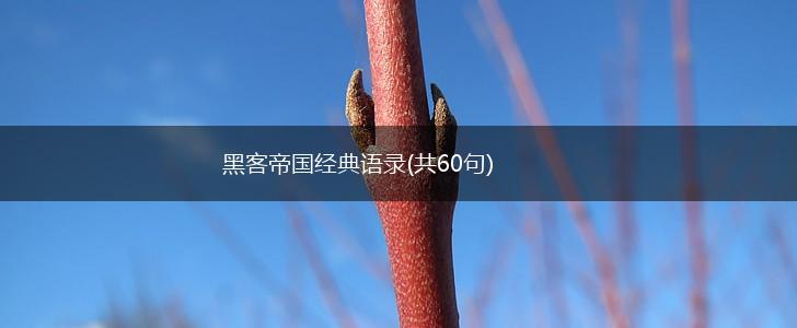 黑客帝国经典语录(共60句),第1张