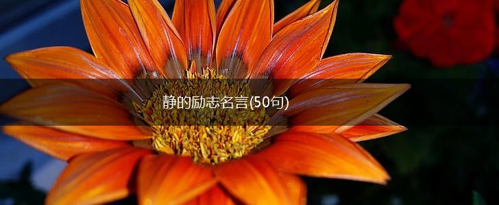 静的励志名言(50句),第1张