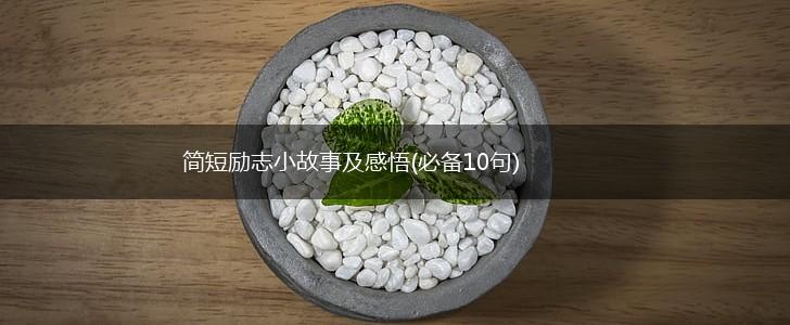 简短励志小故事及感悟(必备10句),第1张