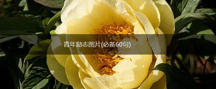 青年励志图片(必备60句),第1张