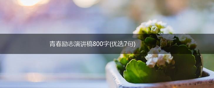 青春励志演讲稿800字(优选7句),第1张