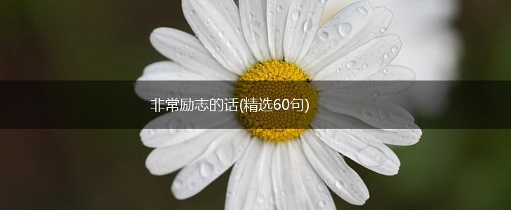 非常励志的话(精选60句),第1张