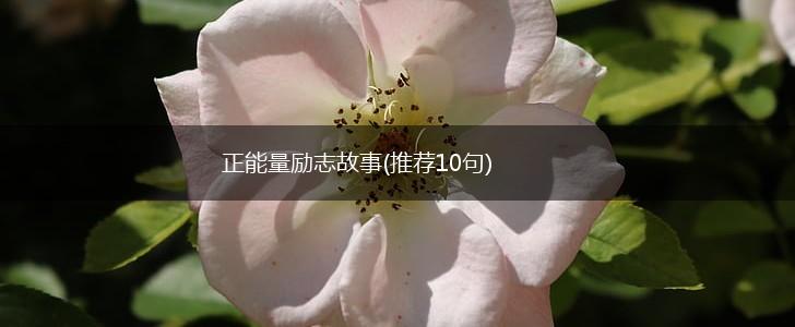 正能量励志故事(推荐10句),第1张