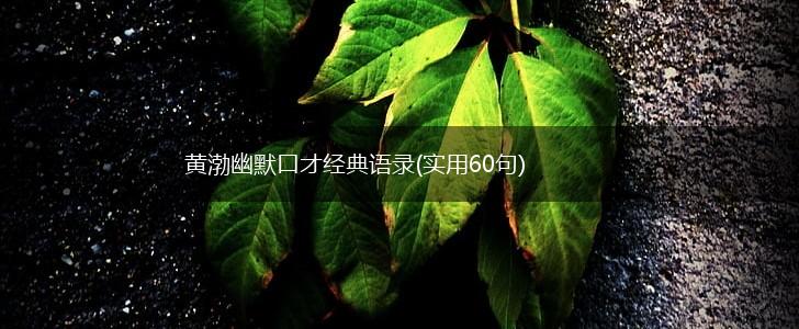 黄渤幽默口才经典语录(实用60句),第1张