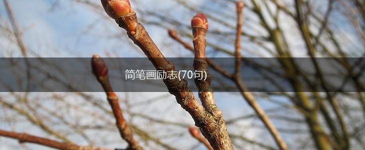 简笔画励志(70句),第1张 简笔画励志(70句),第1张