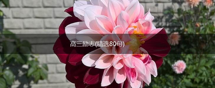 高三励志(精选80句),第1张