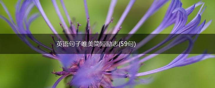 英语句子唯美简短励志(59句),第1张