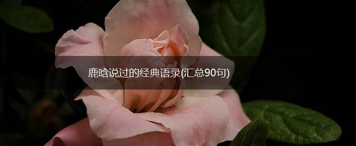 鹿晗说过的经典语录(汇总90句),第1张