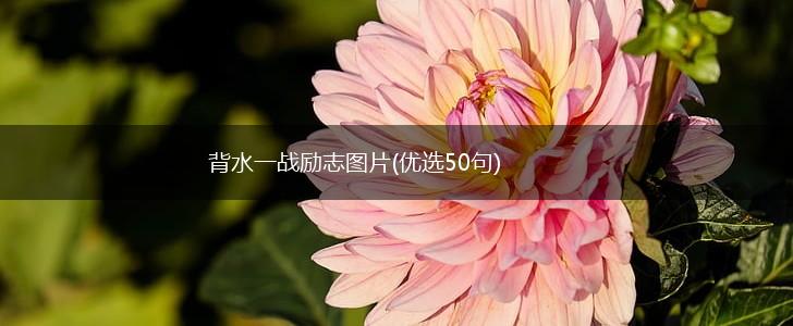 背水一战励志图片(优选50句),第1张