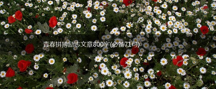 青春拼搏励志文章800字(必备71句),第1张