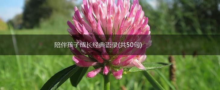 陪伴孩子成长经典语录(共50句),第1张 陪伴孩子成长经典语录(共50句),第1张