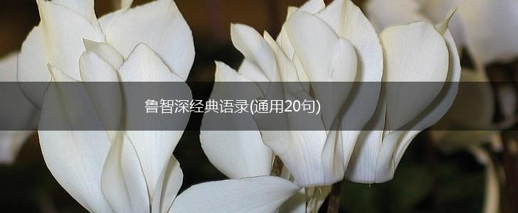 鲁智深经典语录(通用20句),第1张