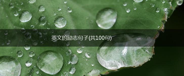 英文的励志句子(共100句),第1张