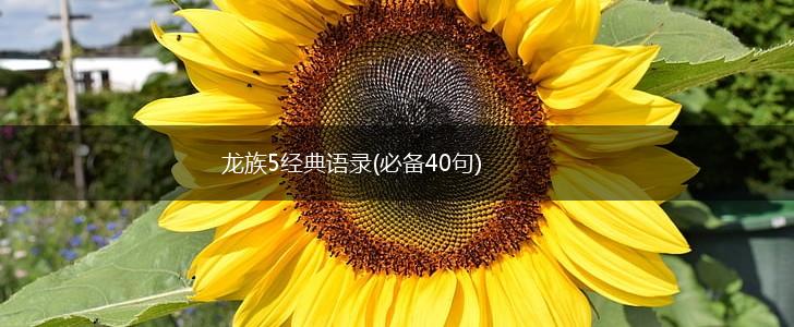 龙族5经典语录(必备40句),第1张