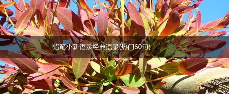 蜡笔小新语录经典语录(热门60句),第1张