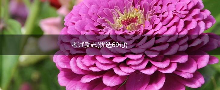 考试励志(优选69句),第1张 考试励志(优选69句),第1张