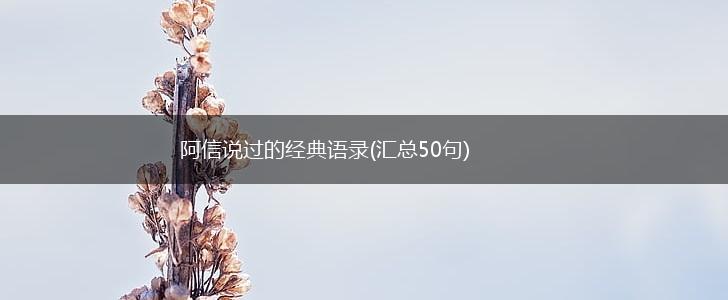 阿信说过的经典语录(汇总50句),第1张