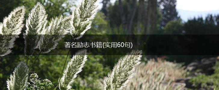 著名励志书籍(实用60句),第1张