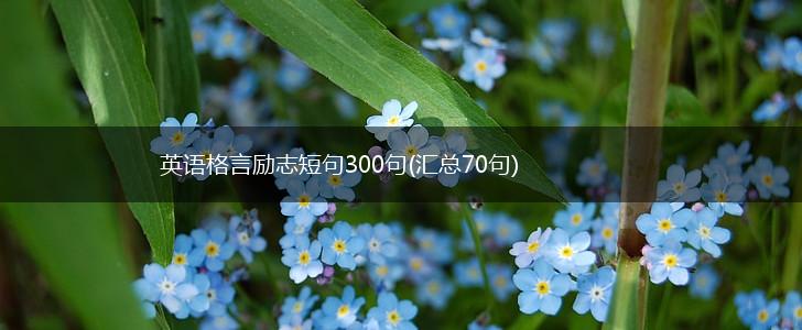 英语格言励志短句300句(汇总70句),第1张
