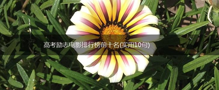 高考励志电影排行榜前十名(实用10句),第1张