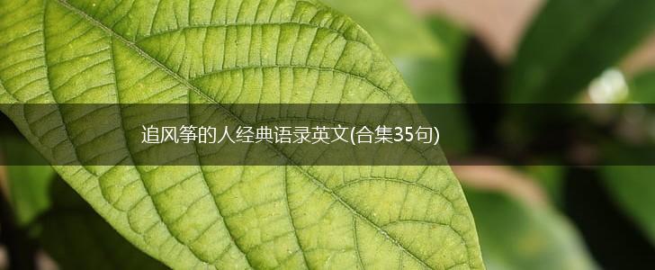 追风筝的人经典语录英文(合集35句),第1张