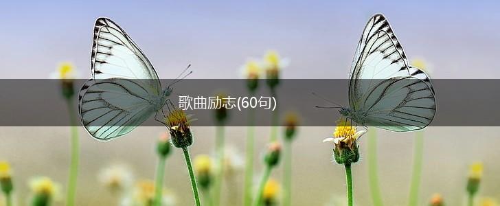 歌曲励志(60句),第1张