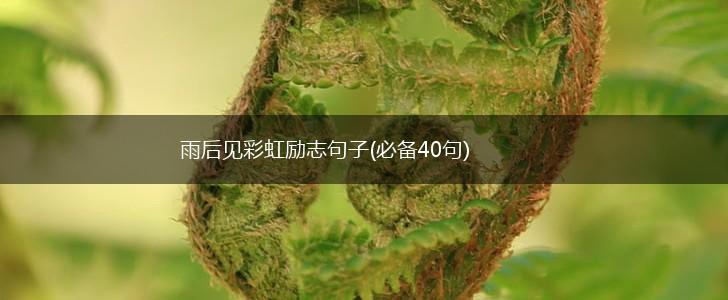 雨后见彩虹励志句子(必备40句),第1张