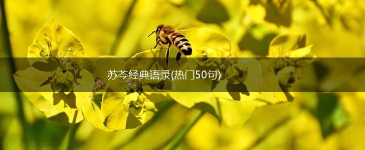 苏芩经典语录(热门50句),第1张