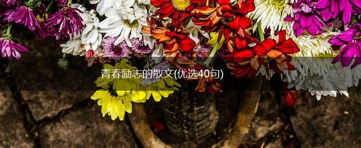 青春励志的散文(优选40句),第1张