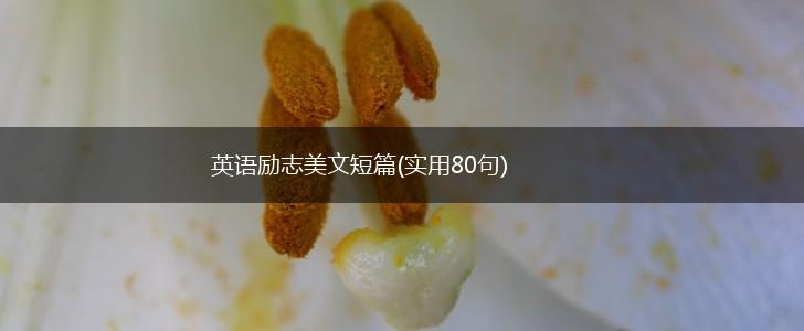 英语励志美文短篇(实用80句),第1张