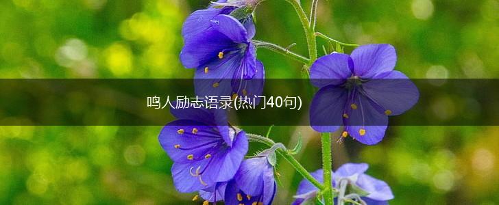 鸣人励志语录(热门40句),第1张
