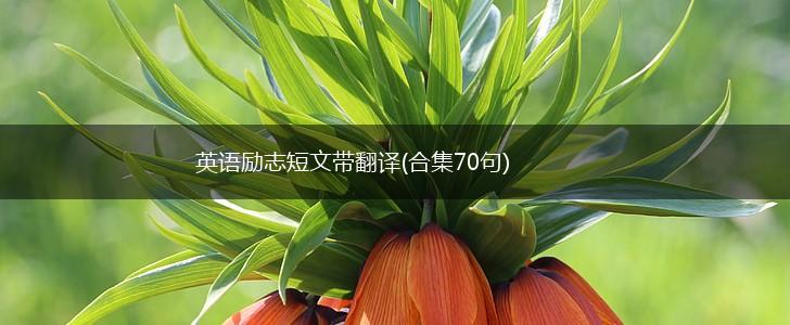英语励志短文带翻译(合集70句),第1张
