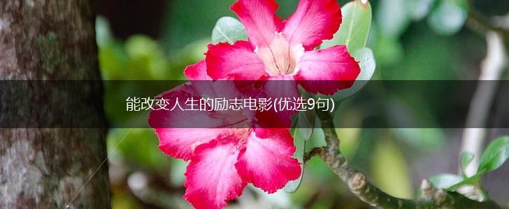 能改变人生的励志电影(优选9句),第1张