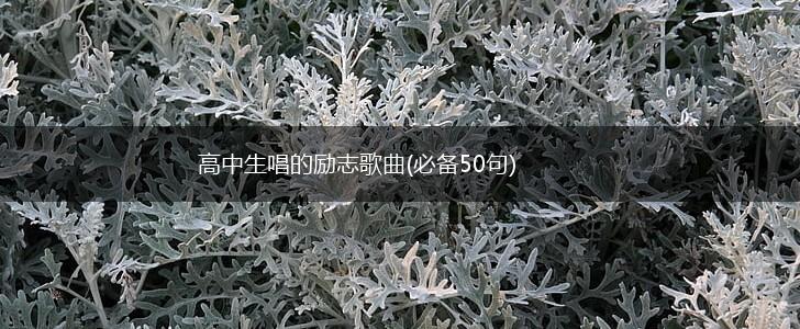 高中生唱的励志歌曲(必备50句),第1张