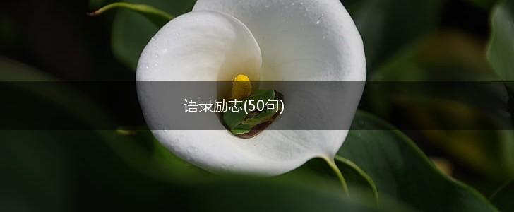 语录励志(50句),第1张