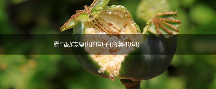 霸气励志复仇的句子(合集40句),第1张