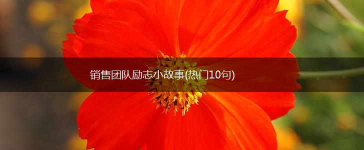 销售团队励志小故事(热门10句),第1张