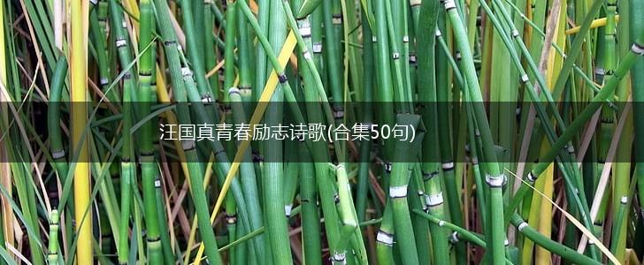 汪国真青春励志诗歌(合集50句),第1张