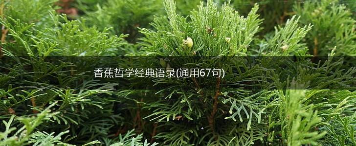香蕉哲学经典语录(通用67句),第1张
