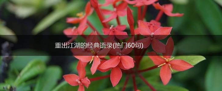 重出江湖的经典语录(热门60句),第1张