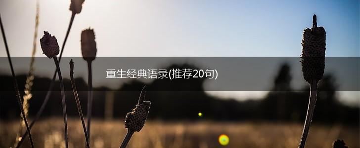 重生经典语录(推荐20句),第1张