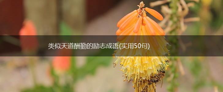 类似天道酬勤的励志成语(实用50句),第1张