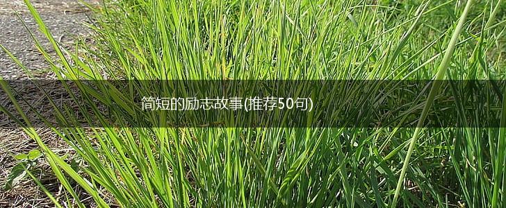 简短的励志故事(推荐50句),第1张
